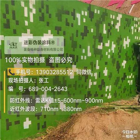 商洛星空迷彩漆，夏令营训练,数码迷彩作训墙,围墙